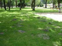 Imagine atasata: parcul copiilor 05.jpg